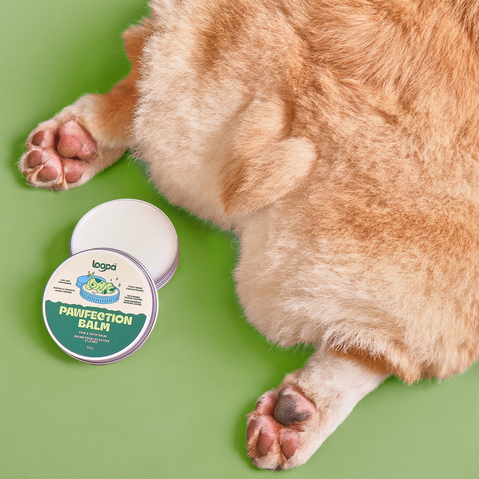 Pawfection Balm Paw & Nose Balm 60 Gram